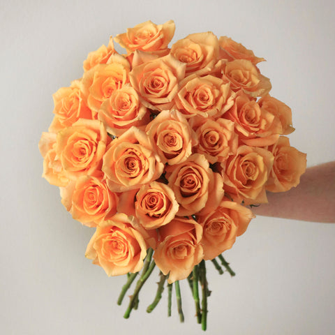 Premium Rose Subscription PrePaid