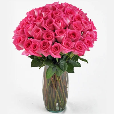 Weekly Premium Rose Subscription