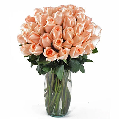 Weekly Premium Rose Subscription