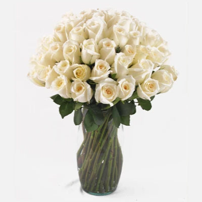 Weekly Premium Rose Subscription