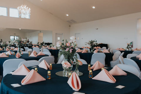 Blue Ridge Mountain Wedding