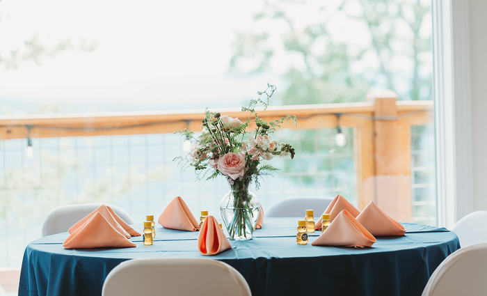 Blue Ridge Mountain Wedding