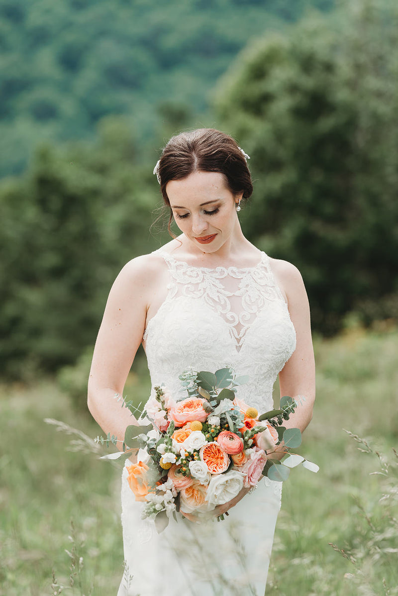 Blue Ridge Mountain Wedding