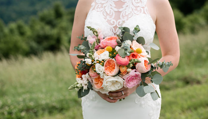 Blue Ridge Mountain Wedding