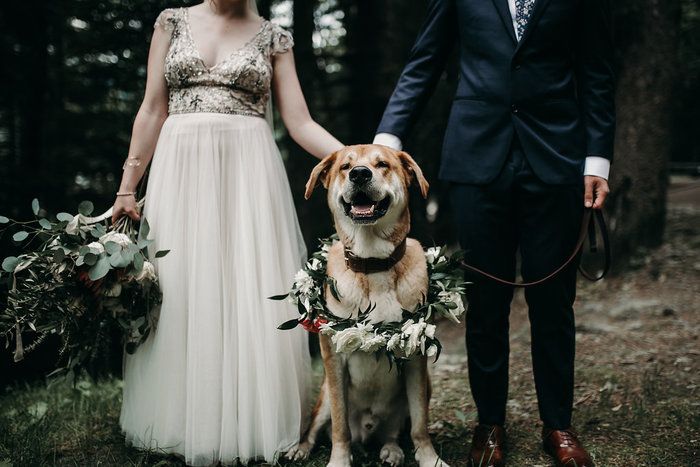 Bohemian Alaskan Wedding in the Mountains