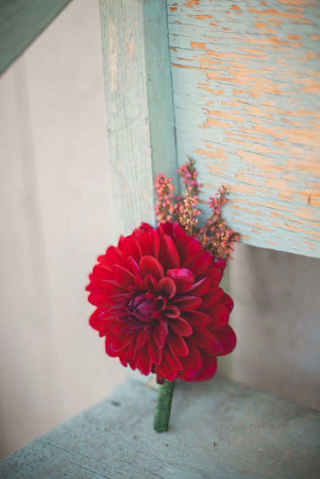 Wild Bohemian Wedding