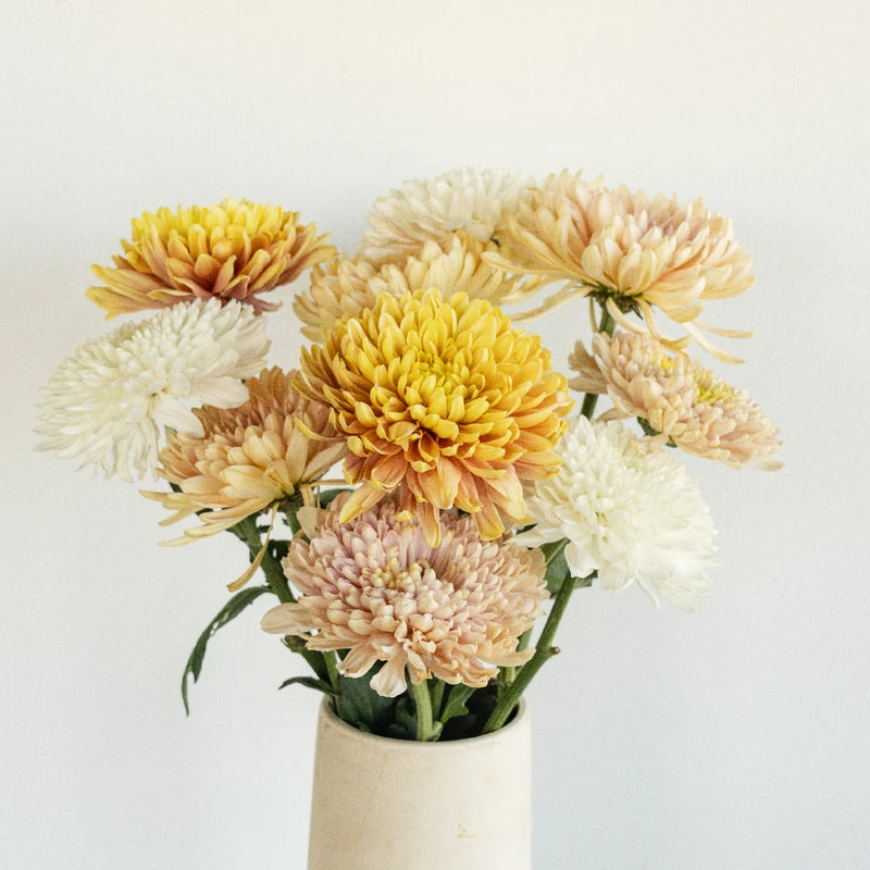 Honeycomb Chrysanthemum Flower Kit