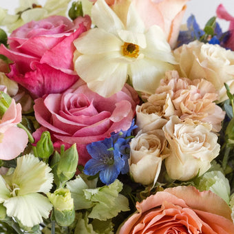 Impressive Daydream DIY Flower Kit