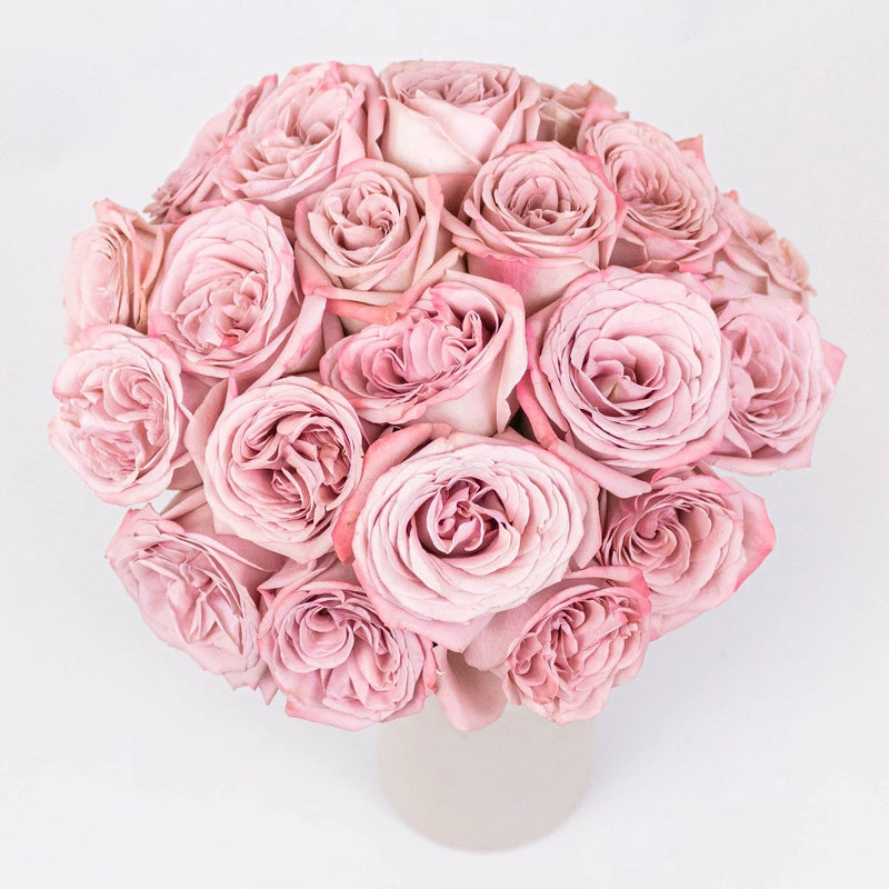 Mauve Roses - Image
