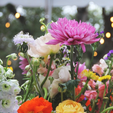 Modern Garden Wedding
