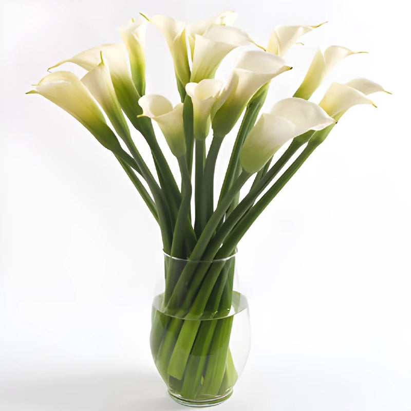 Calla Lily Flower Arrangement