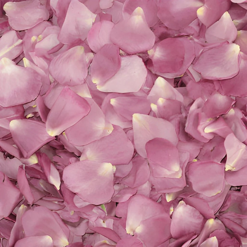 Lavender Dried Rose Petals