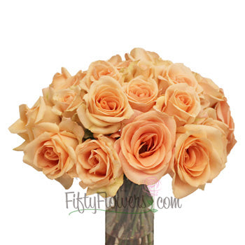 Alejandra Perfect Peach Rose