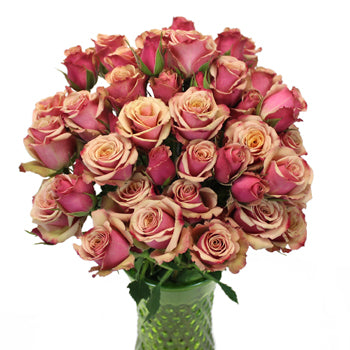 Antique Pink Spray Roses