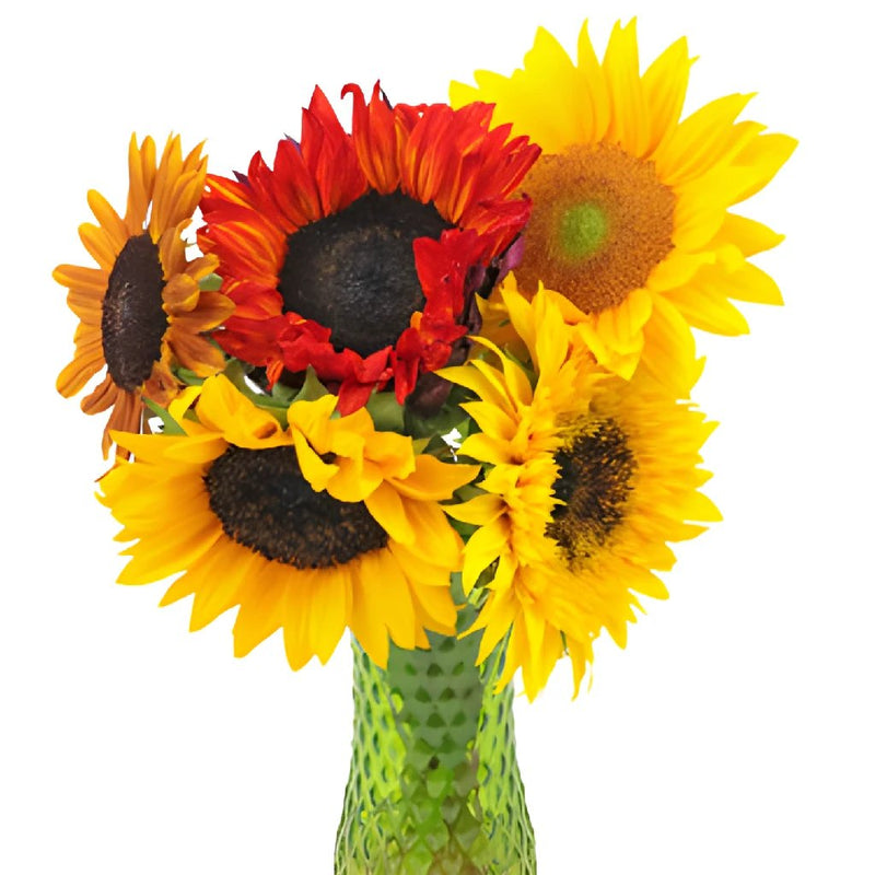 Assorted Sunflowers for Arranging