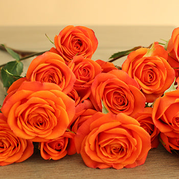 Dark Orange Spray Bulk Roses