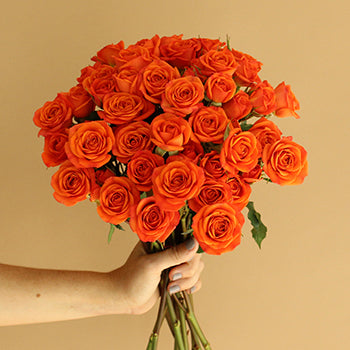 Dark Orange Spray Bulk Roses