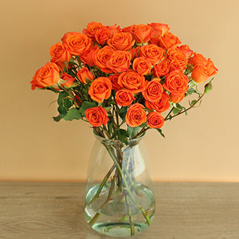 Dark Orange Spray Bulk Roses