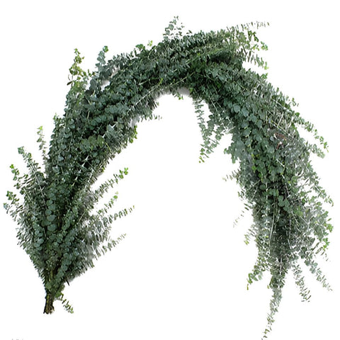 Baby Eucalyptus Garland wholesale