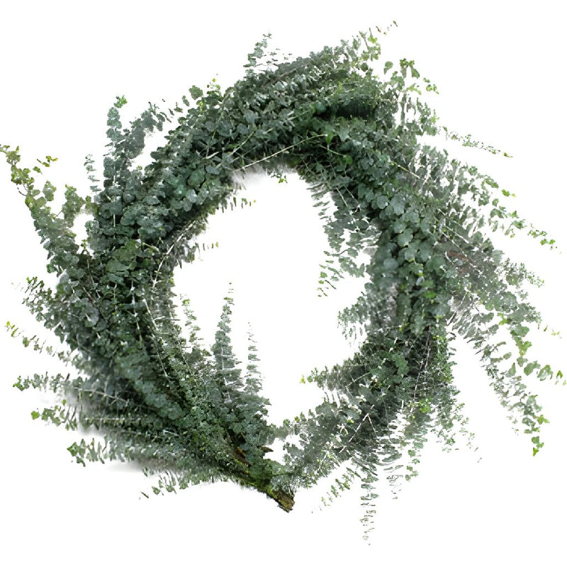 Buy Baby Eucalyptus Garland