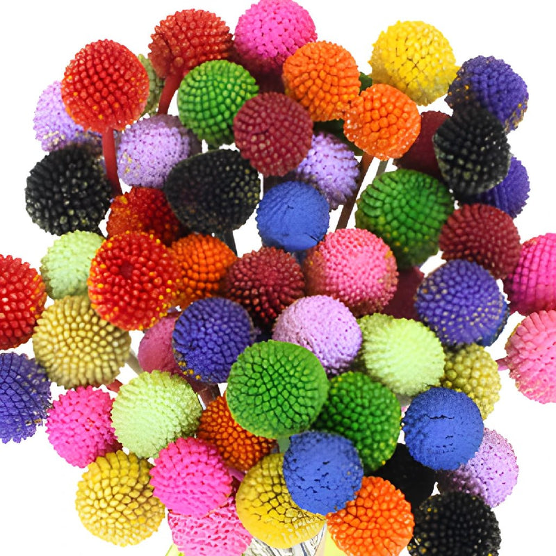 Airbrushed Billy Balls Assorted Colors