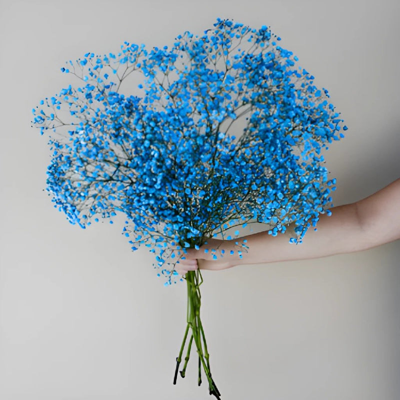 Blue Baby's Breath Flower