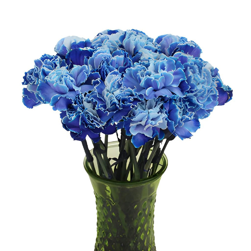Blue Carnation Flowers In a vase