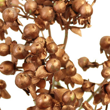 Metallic Mix Designer Hypericum Berries Enhanced