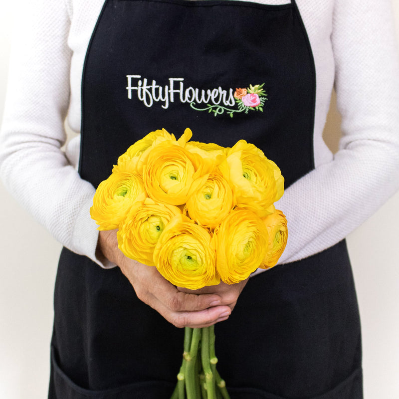 Yellow Ranunculus Wholesale Flower Bunch in a hand