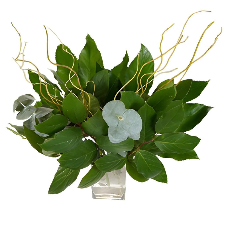 Willow and Greens DIY Starter Centerpiece