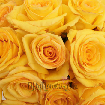 Dejavu Golden Yellow Rose