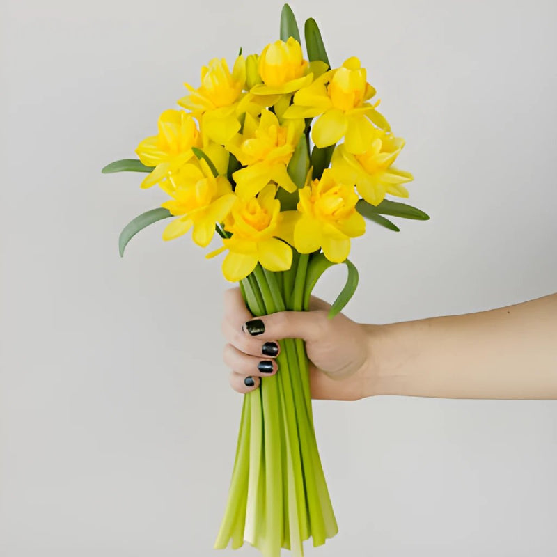 Double Trouble Daffodil Flower