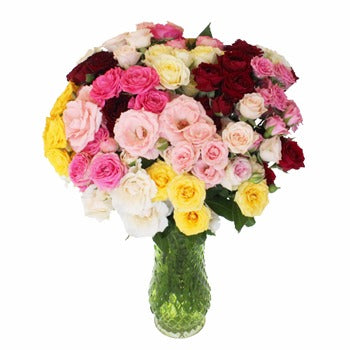 Wholesale Farm Mix Spray Roses for Mom