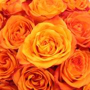 Ready To Go Wholesale Centerpieces Card