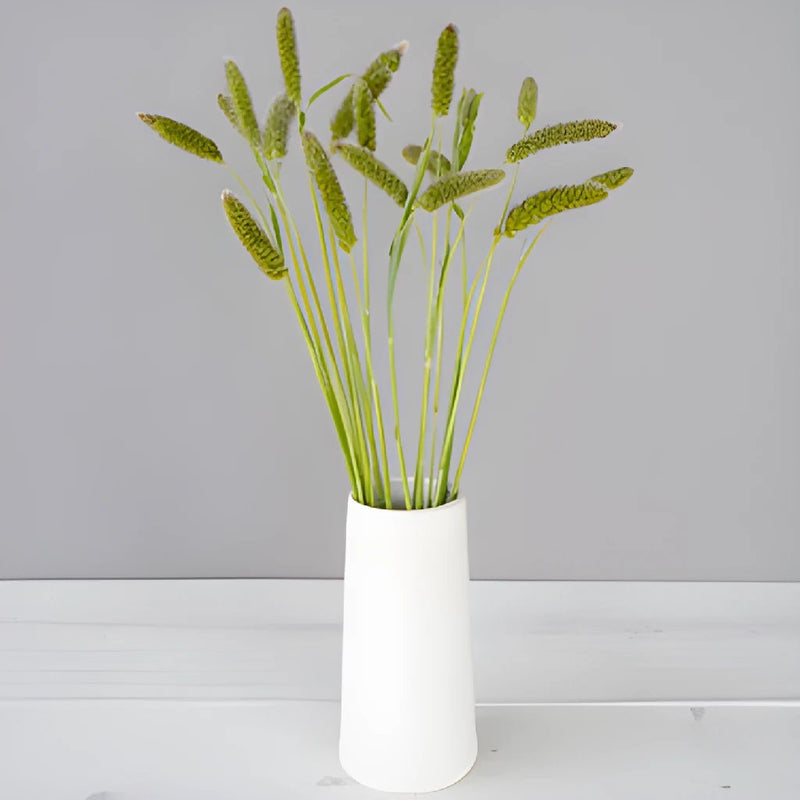 Bulk greens fresh cut foxtail millet grass filler flowers bunch designed