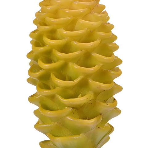 Yellow Shampoo Ginger