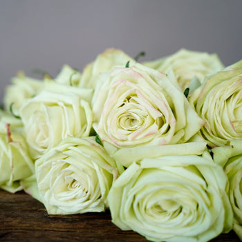 Valentines Green Rose Special