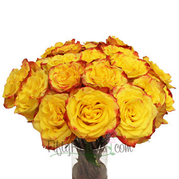 High and Yellow Magic Rose