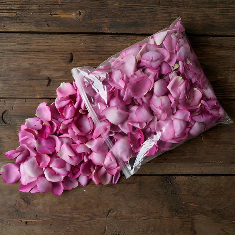 Magenta Garden Rose Petals