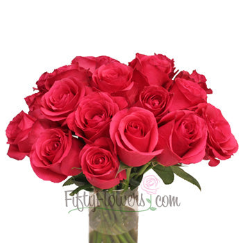 Dark Pink Hot Shot Rose