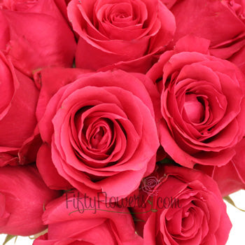 Dark Pink Hot Shot Rose