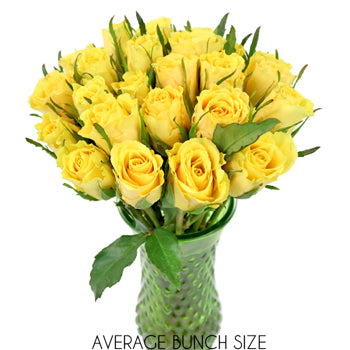 Yellow Idol Sweetheart Roses