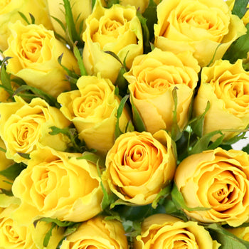 Yellow Idol Sweetheart Roses