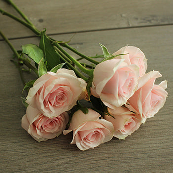 Irishka Pink Rose Bunch