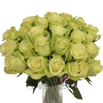 Jade Green Bulk Rose