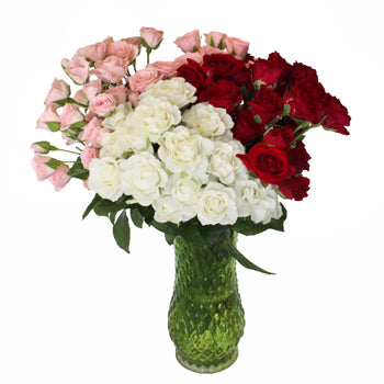 Latin Lovers Petite Rose Mix