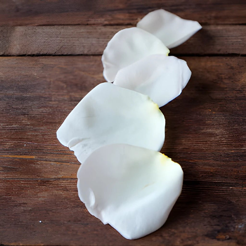 Dried Pink Garden Flower Petals