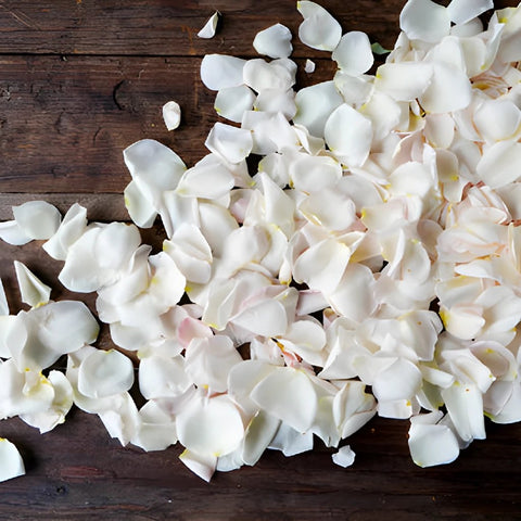 Bulk Pink Garden Rose Petals