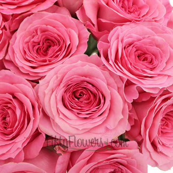Martina Princess Pink Rose