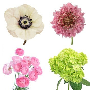 DIY Garden Flower Mother's Day Combo